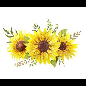 Meet your Posher, Kayla m.